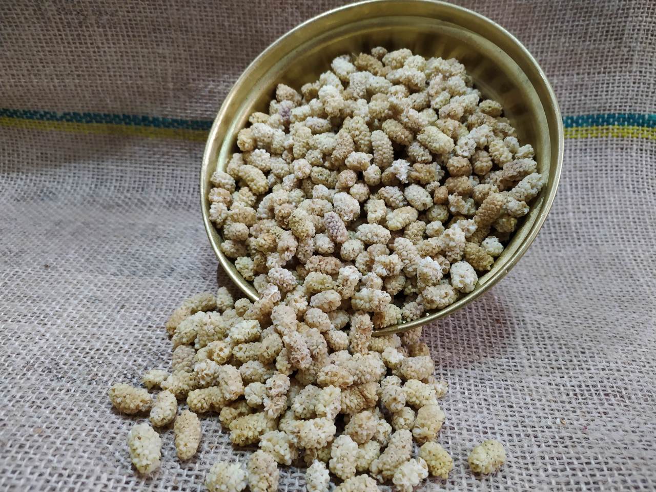 GURMEKENT ULUKALE DUT KURUSU 1.SINIF