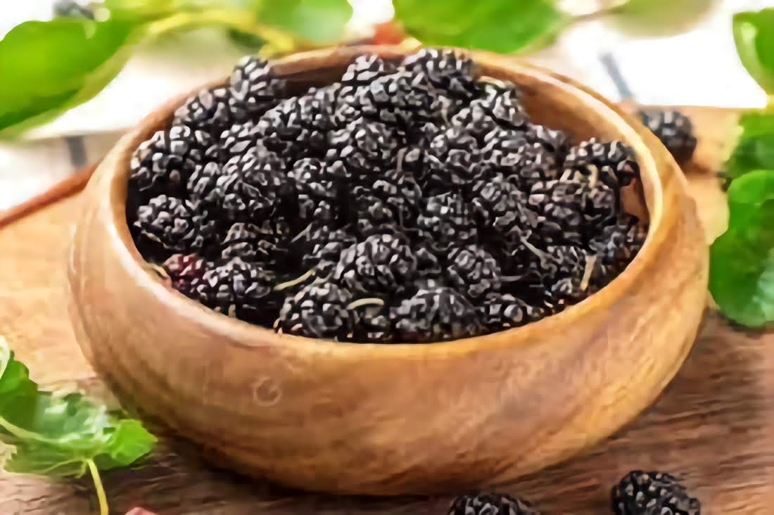 GURMEKENT KARADUT KURUSU