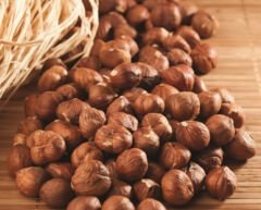 GURMEKENT FINDIK ÇİĞ