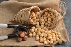 GURMEKENT KAVRULMUŞ FINDIK İÇİ