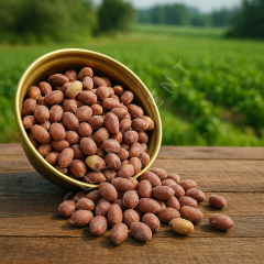 GURMEKENT YER FISTIĞI