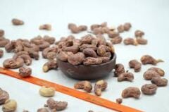 GURMEKENT ZARLI KAJU