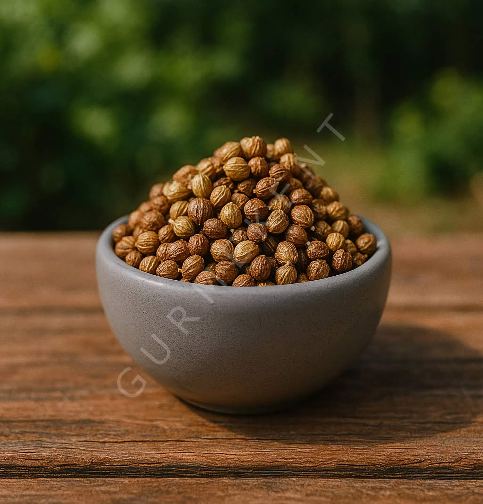 GURMEKENT TANE SUMAK