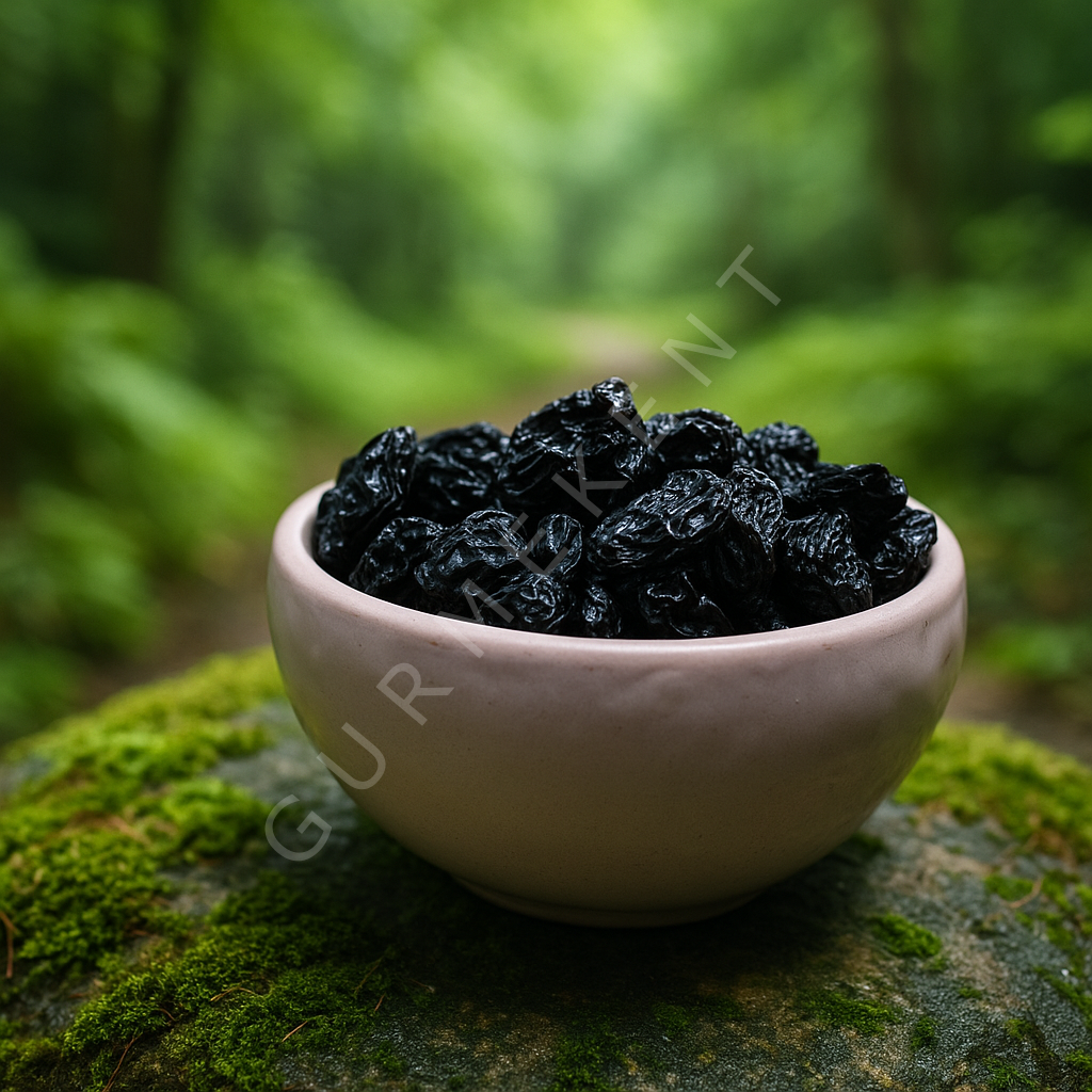 GURMEKENT KUŞ ÜZÜMÜ