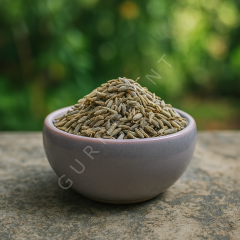 GURMEKENT TANE KİMYON