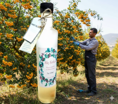 GURMEKENT ALIÇ SİRKESİ EV YAPIMI 500ML