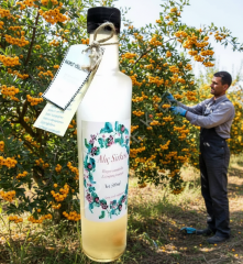 GURMEKENT ALIÇ SİRKESİ EV YAPIMI 500ML